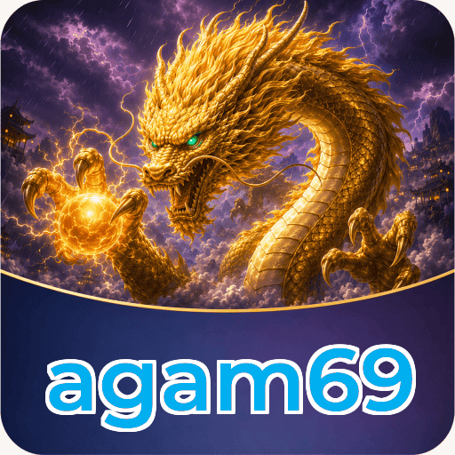 Expert Verdict - agam69 Final Assessment